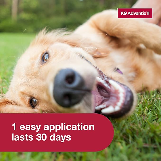 K9 Advantix II Large Dog Vet-Recommended Flea, Tick & Mosquito Treatment & Prevention | Dogs 21–55 lbs. | 6-Month Supply