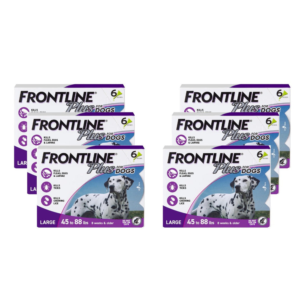 FRONTLINE Plus for Dogs Large Dog (45–88 lbs) Flea and Tick Treatment – 6 Doses