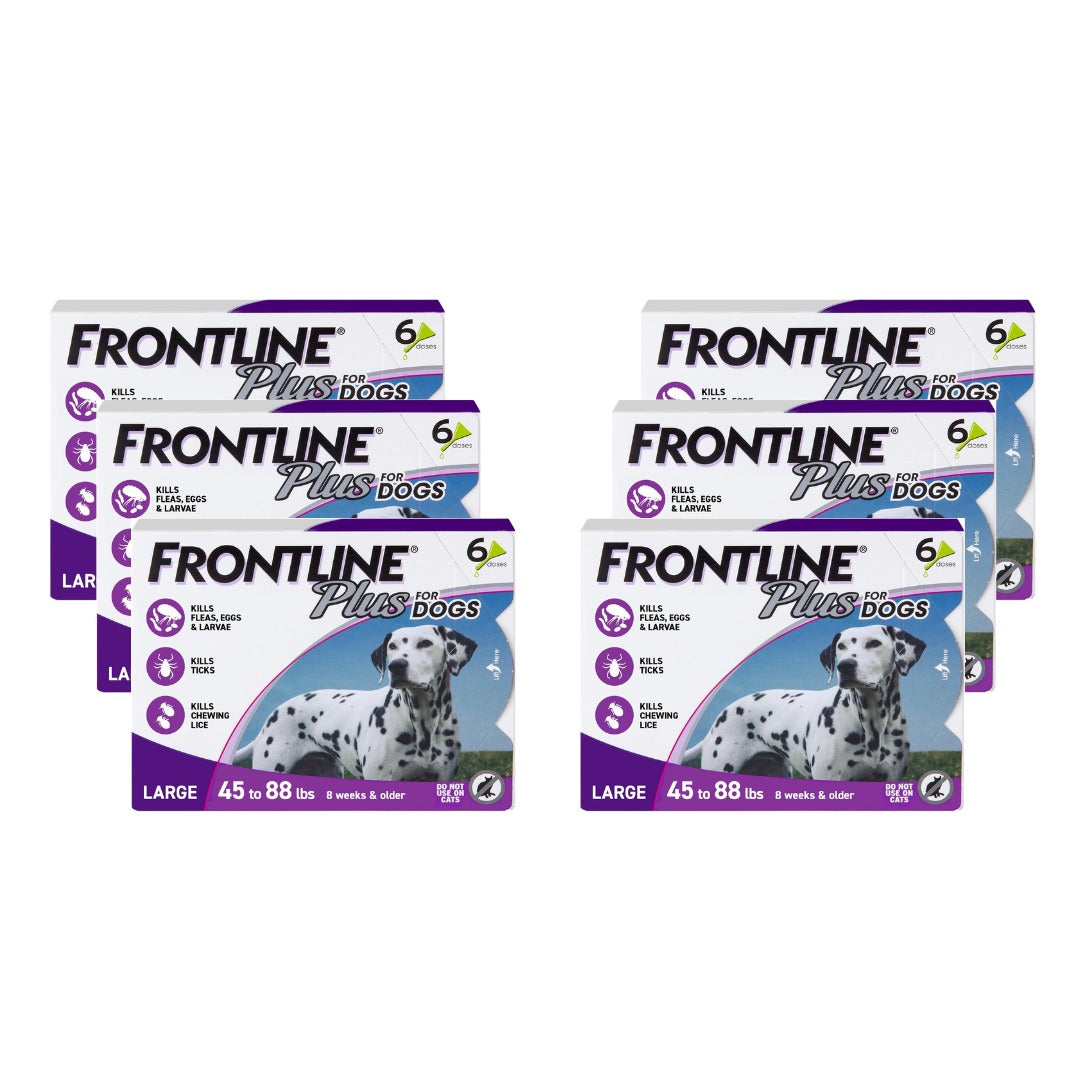 FRONTLINE Plus for Dogs Large Dog (45–88 lbs) Flea and Tick Treatment – 6 Doses