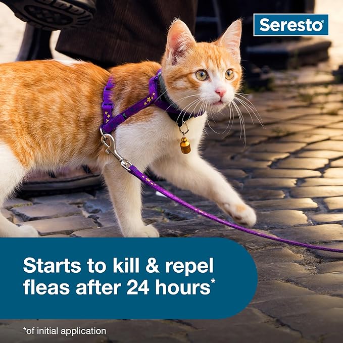 Seresto Flea & Tick Collar for Cats | 8-Month Continuous Protection