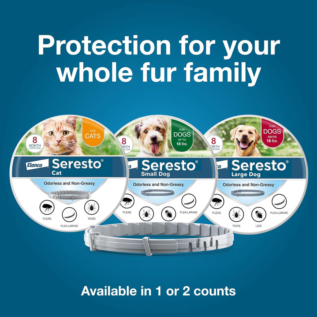 Seresto Flea & Tick Collar for Cats | 8-Month Continuous Protection