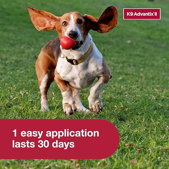 K9 Advantix II Medium Dog Vet-Recommended Flea, Tick & Mosquito Treatment & Prevention | Dogs 11–20 lbs. | 4-Month Supply