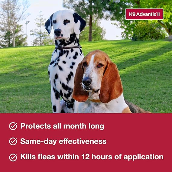 K9 Advantix II Medium Dog Vet-Recommended Flea, Tick & Mosquito Treatment & Prevention | Dogs 11–20 lbs. | 4-Month Supply