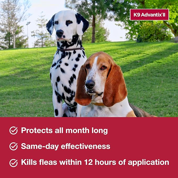 K9 Advantix II Large Dog Vet-Recommended Flea, Tick & Mosquito Treatment & Prevention | Dogs 21–55 lbs. | 6-Month Supply