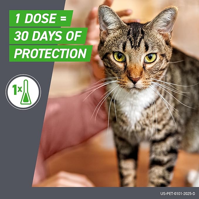 Cat being held with text about vaccine protection on a gray background