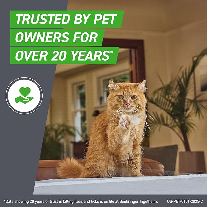Cat sitting on a surface with promotional text about trust over 20 years, in a home setting.