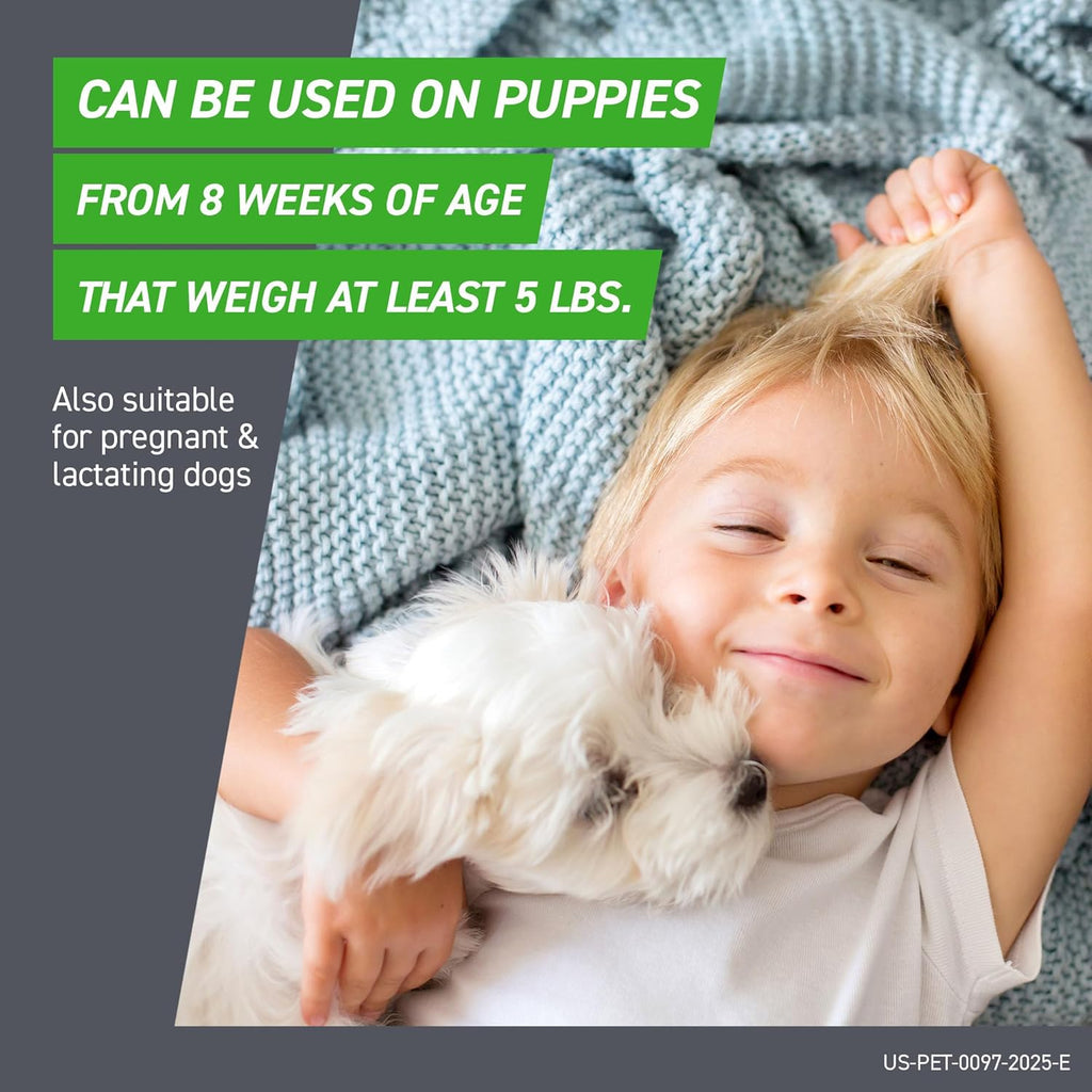FRONTLINE_Plus_for_Dogs_Large_Dog_45_88_lbs_Flea_and_Tick_Treatment_6_Doses_FRONTLINE