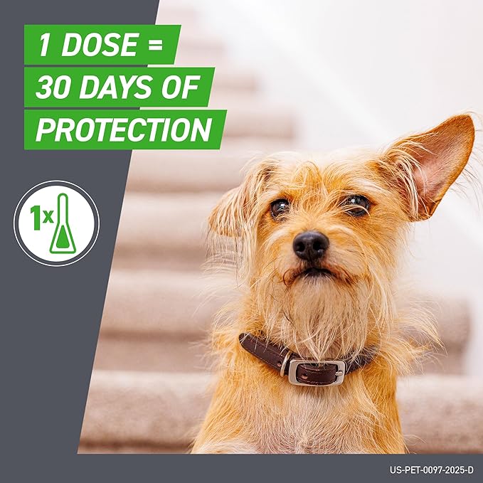 FRONTLINE_Plus_for_Dogs_Large_Dog_45_88_lbs_Flea_and_Tick_Treatment_6_Doses_cover