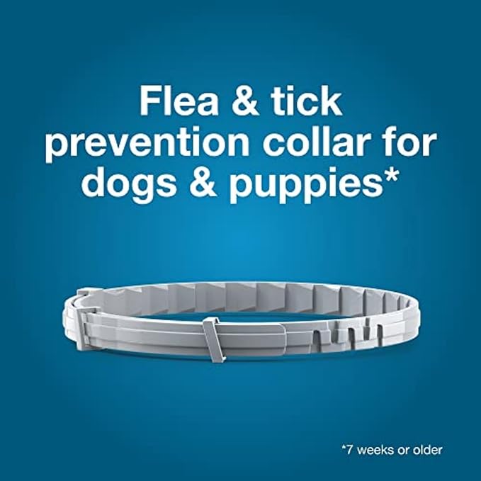Seresto Large Dog Flea &amp; Tick Treatment &amp; Prevention Collar – Vet-Recommended Protection for Dogs Over 18 lbs