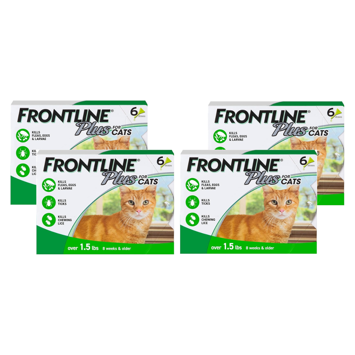 FRONTLINE Plus Flea and Tick Treatment for Cats Over 1.5 lbs (6 Doses)