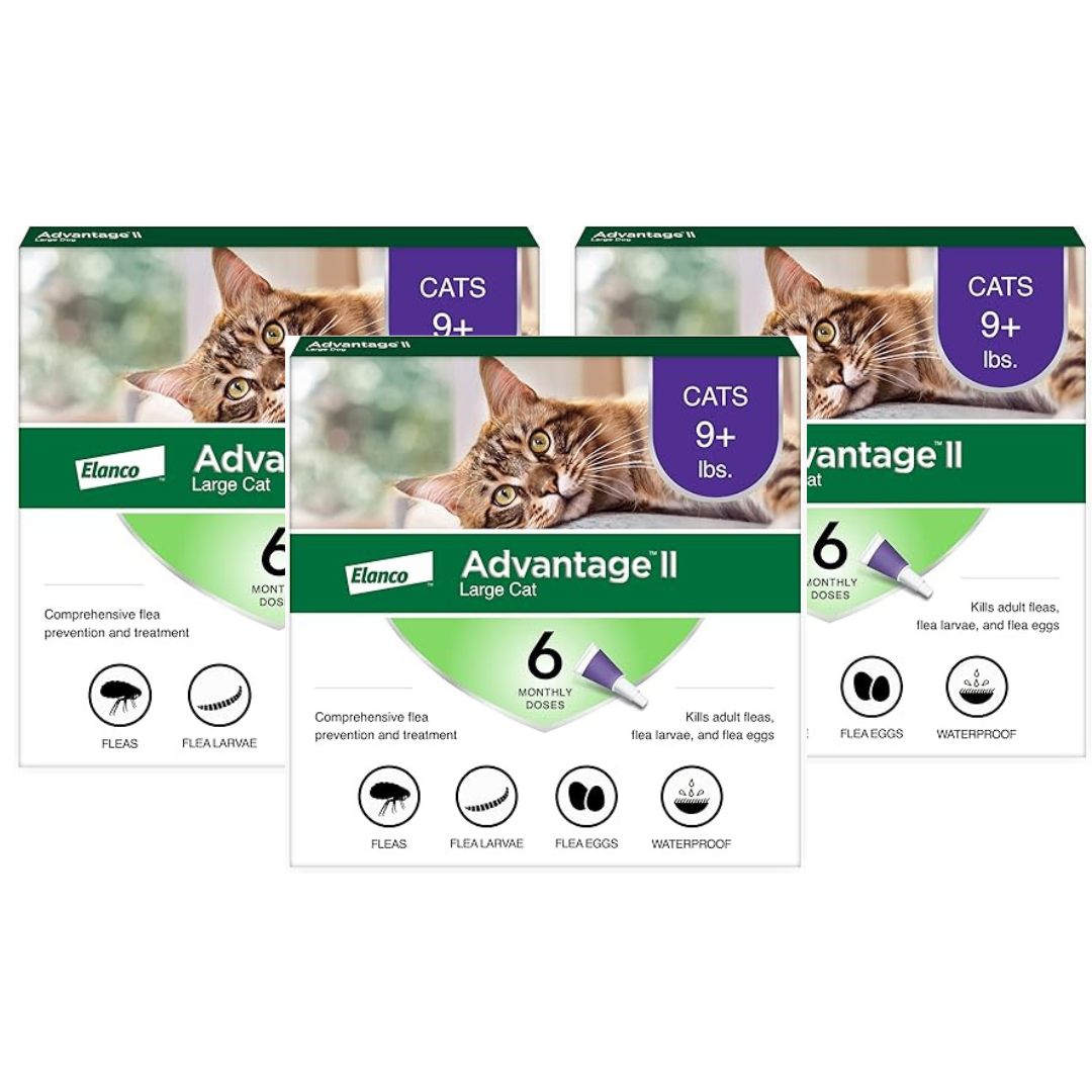 Advantage II Large Cat Vet-Recommended Flea Treatment & Prevention | Cats Over 9 lbs. | 6-Month Supply