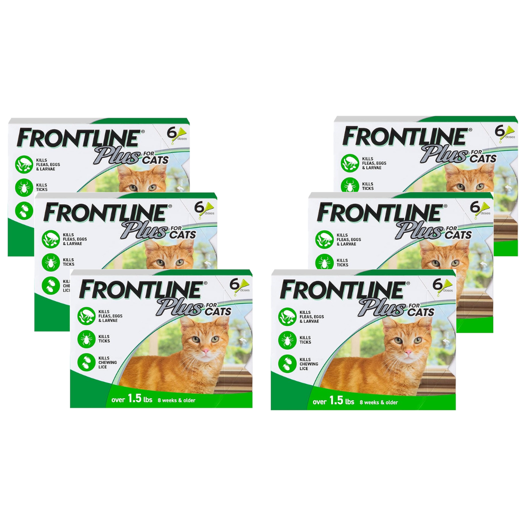 FRONTLINE Plus Flea and Tick Treatment for Cats Over 1.5 lbs (6 Doses)