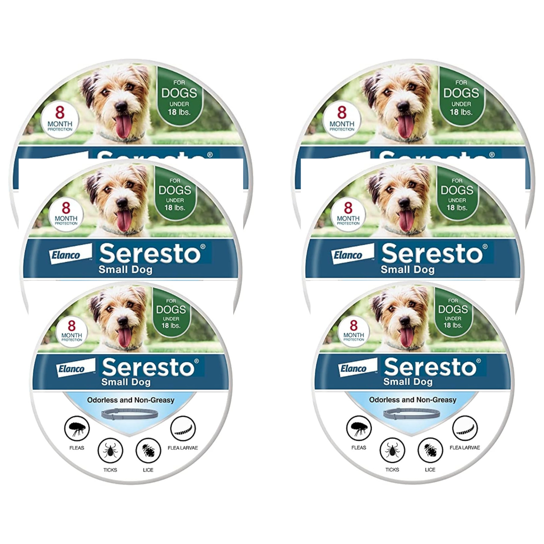 Seresto Small Dog Flea &amp; Tick Collar – 8 Months of Vet-Recommended Protection