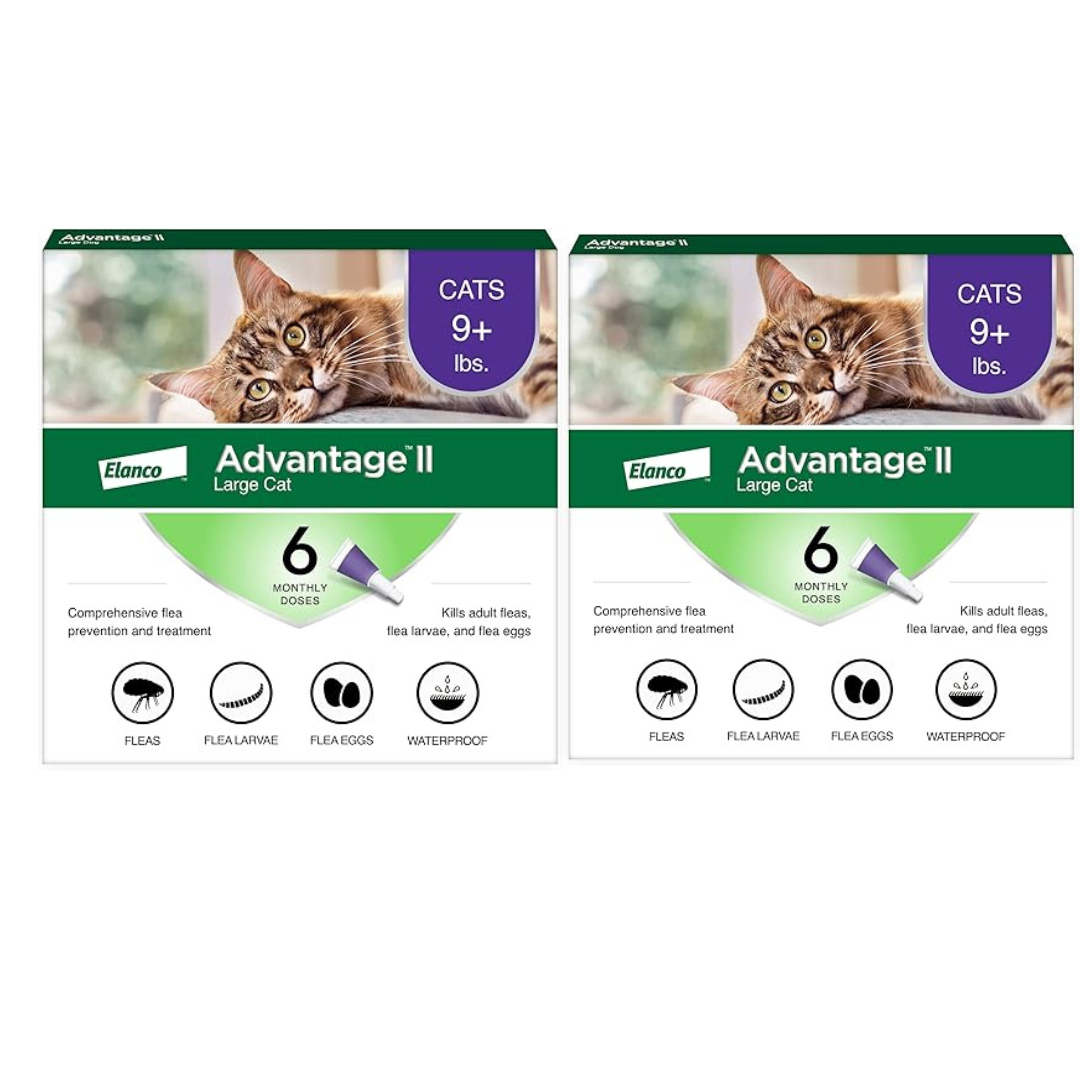 Advantage II Large Cat Vet-Recommended Flea Treatment & Prevention | Cats Over 9 lbs. | 6-Month Supply