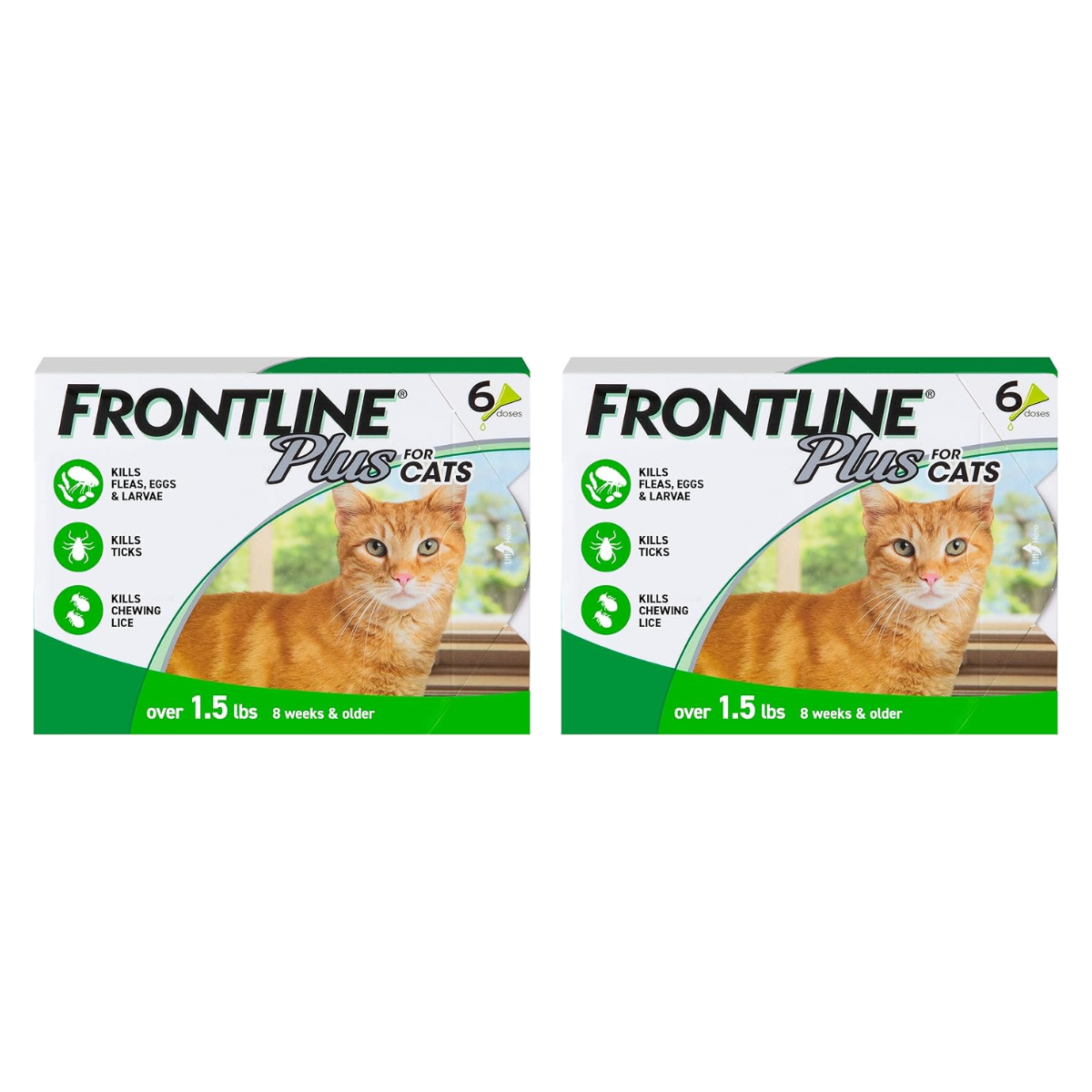 FRONTLINE Plus Flea and Tick Treatment for Cats Over 1.5 lbs (6 Doses)