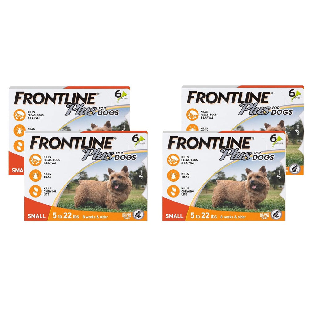 FRONTLINE Plus Flea and Tick Treatment for Small Dogs (5–22 lbs) – 6 Doses