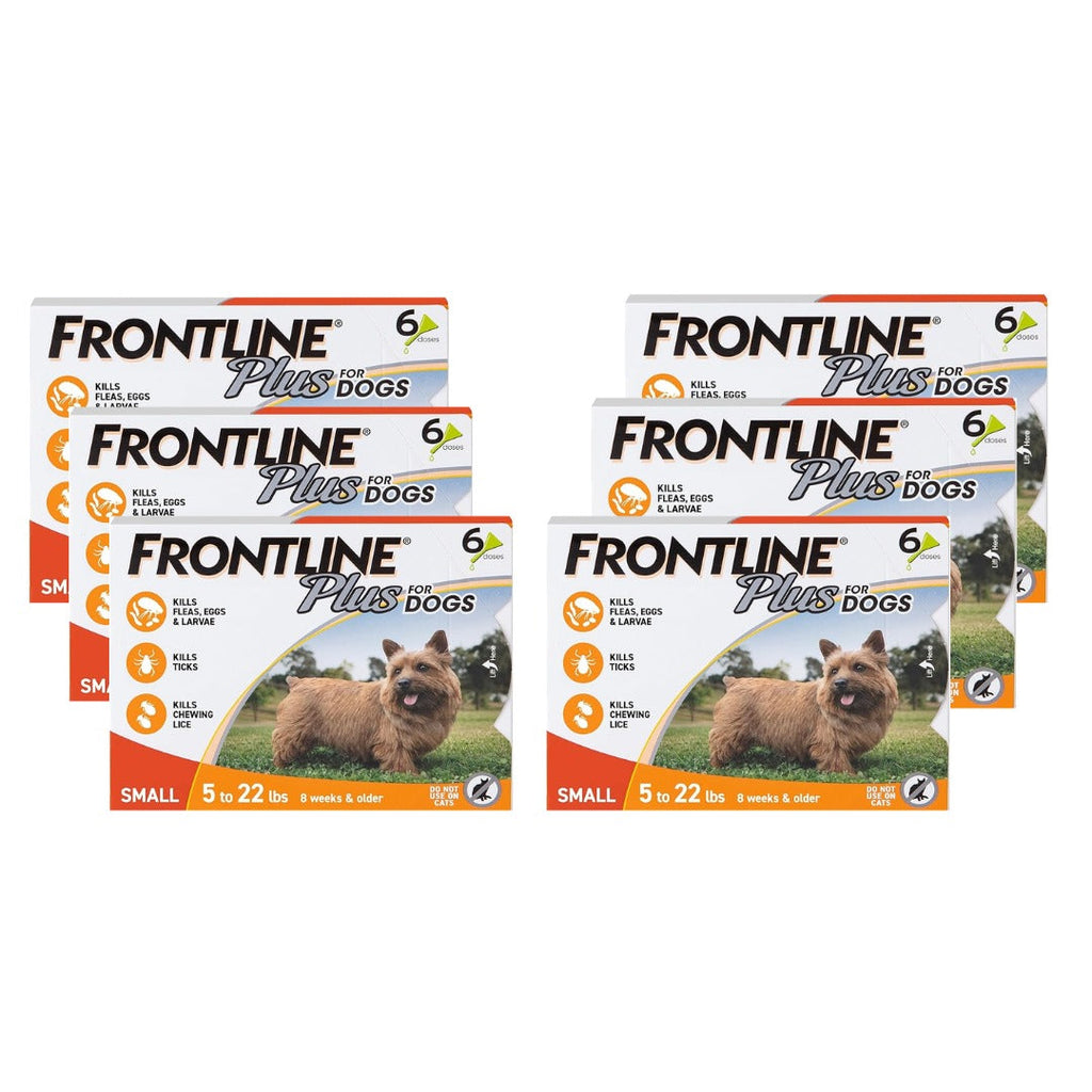 FRONTLINE Plus Flea and Tick Treatment for Small Dogs (5–22 lbs) – 6 Doses